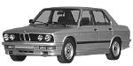 BMW E28 P2004 Fault Code